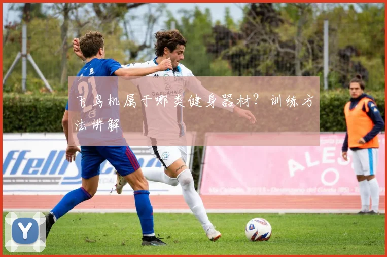 飞鸟机属于哪类健身器材？训练方法讲解